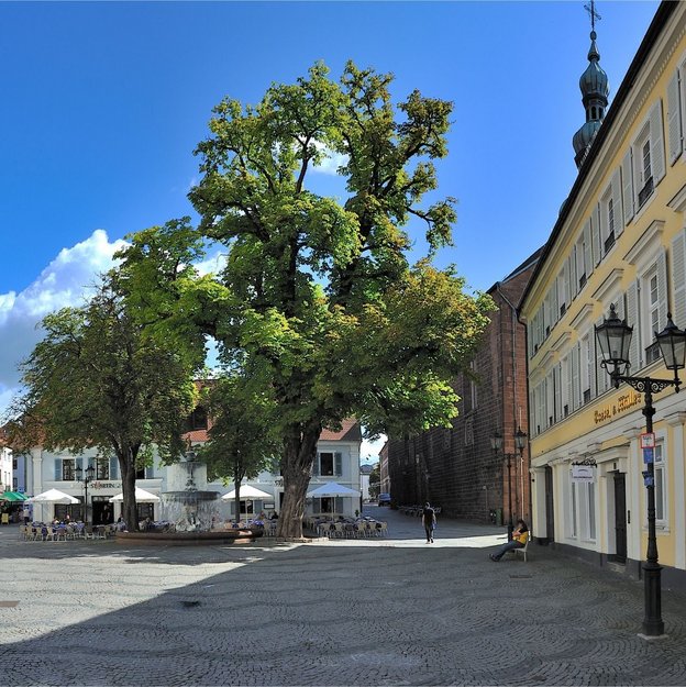 Innenstadtansicht von Kaiserslautern mit Platz, Bäumen und historischen Gebäuden